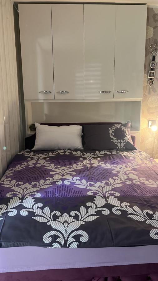 Apartment Ilas Belgrade
